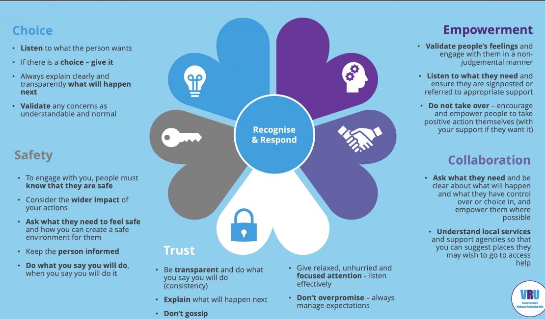 Trauma Informed Practice Violence Reduction Unit VRU